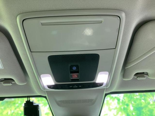 �u���̎Ԃ̎ʐ^�������ƌ������v�u��Ԃ��C�ɂȂ�v�u���̑����͂��Ă���H�v�ǂ�ȏ����ȋ^��ł����C�y�ɂ��₢���킹���������I