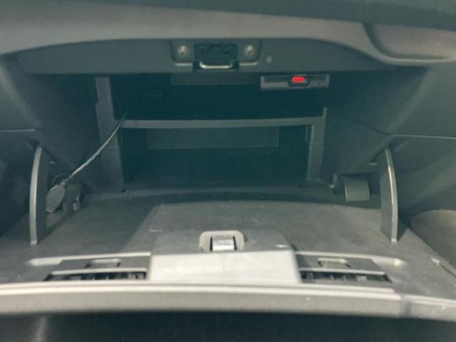 �u���̎Ԃ̎ʐ^�������ƌ������v�u��Ԃ��C�ɂȂ�v�u���̑����͂��Ă���H�v�ǂ�ȏ����ȋ^��ł����C�y�ɂ��₢���킹���������I