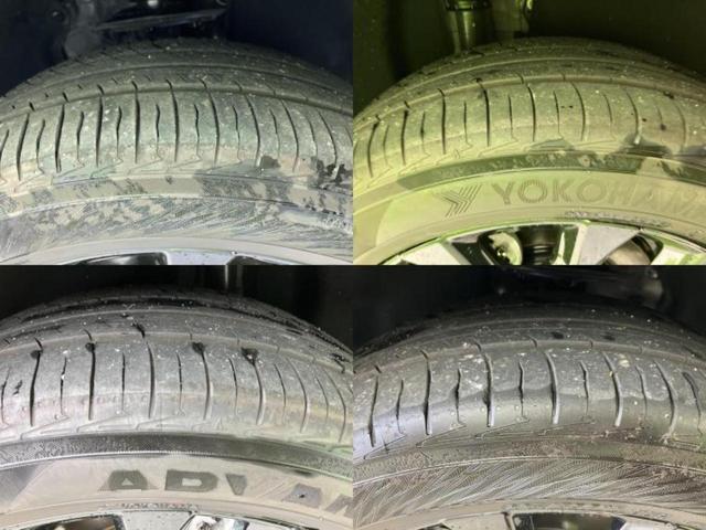 �u���̎Ԃ̎ʐ^�������ƌ������v�u��Ԃ��C�ɂȂ�v�u���̑����͂��Ă���H�v�ǂ�ȏ����ȋ^��ł����C�y�ɂ��₢���킹���������I