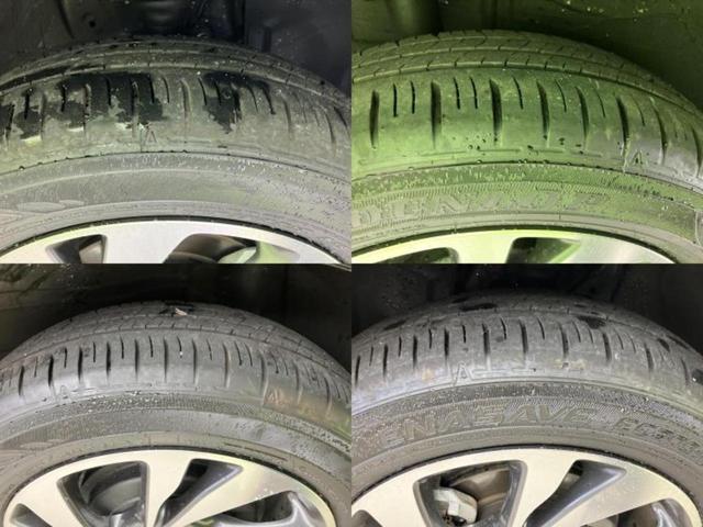 �u���̎Ԃ̎ʐ^�������ƌ������v�u��Ԃ��C�ɂȂ�v�u���̑����͂��Ă���H�v�ǂ�ȏ����ȋ^��ł����C�y�ɂ��₢���킹���������I