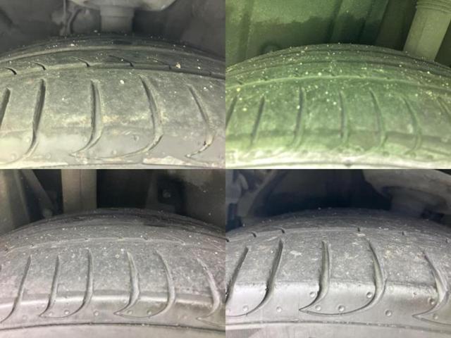 �u���̎Ԃ̎ʐ^�������ƌ������v�u��Ԃ��C�ɂȂ�v�u���̑����͂��Ă���H�v�ǂ�ȏ����ȋ^��ł����C�y�ɂ��₢���킹���������I