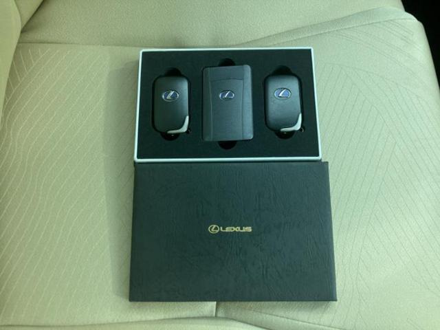 ＨＳ ＨＳ２５０ｈ　サンルーフ／純正　ＨＤＤナビ／Ｂｌｕｅｔｏｏｔｈ接続／ＥＴＣ／ＥＢＤ付ＡＢＳ／横滑り防止装置／アイドリングストップ／バックモニター／フルセグＴＶ／ＤＶＤ／エアバッグ　サイド　バックカメラ　電動シート（30枚目）