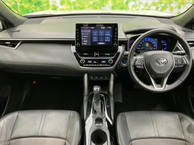 �u���̎Ԃ̎ʐ^�������ƌ������v�u��Ԃ��C�ɂȂ�v�u���̑����͂��Ă���H�v�ǂ�ȏ����ȋ^��ł����C�y�ɂ��₢���킹���������I