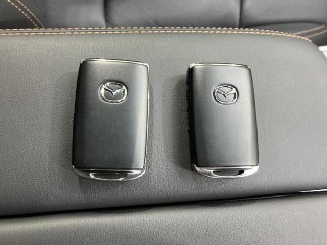 ＣＸ－６０ ＸＤ　Ｌパッケージ　保証書／純正　ＳＤナビ／アイアクティブセンス（マツダ）／シートヒーター　前席／全方位モニター／車線逸脱防止支援システム／シート　合皮／電動バックドア／ドライブレコーダー　前後／ヘッドランプ　ＬＥＤ（31枚目）