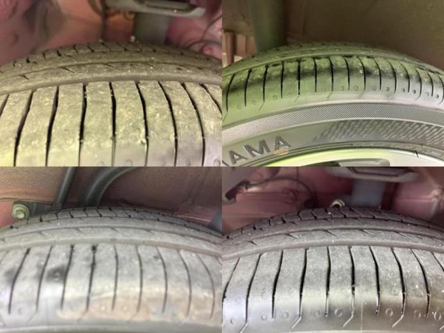 �u���̎Ԃ̎ʐ^�������ƌ������v�u��Ԃ��C�ɂȂ�v�u���̑����͂��Ă���H�v�ǂ�ȏ����ȋ^��ł����C�y�ɂ��₢���킹���������I