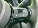 ターボブラックスタイル 保証書/純正 8インチ ナビ/ホンダセンシング/両側電動スライドドア/シートヒーター 前席/車線逸脱防止支援システム/シート ハーフレザー/登録済未使用車/ヘッドランプ LED 衝突被害軽減システム(29枚目)