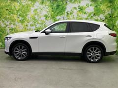 �ףţã��ңӤκ߸˥ڡ������������������ˤ��꤬�Ȥ��������ޤ����ףţã��ңӤϡ֤��������פ��åȡ��ˤ����ͤΥ����饤�դ����Ϥǥ��ݡ��Ȥ������ޤ��� 2