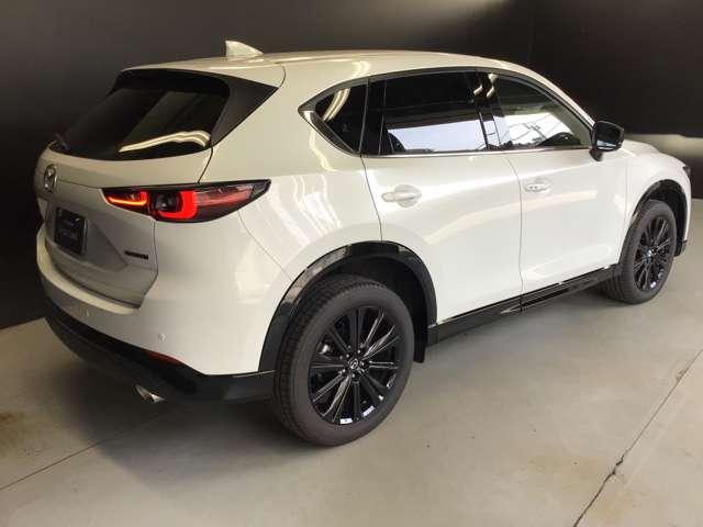 CX-5 XD SPORTA 全方位モニターナビ ドラレコ ETC BOSE (14枚目)