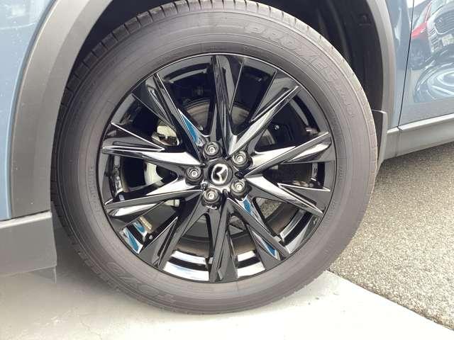 �������������܂��Č����A�܂��A�����R��ɂ��e������Ǝv���鍂�������ӂ�鏃���A���~�z�C������������Ă���܂��I