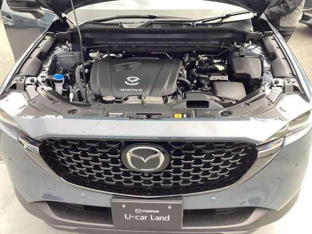 ����B�}�c�_�ł������萮����̔[�ԂɂȂ�܂��B���S���Č������������܂��B��