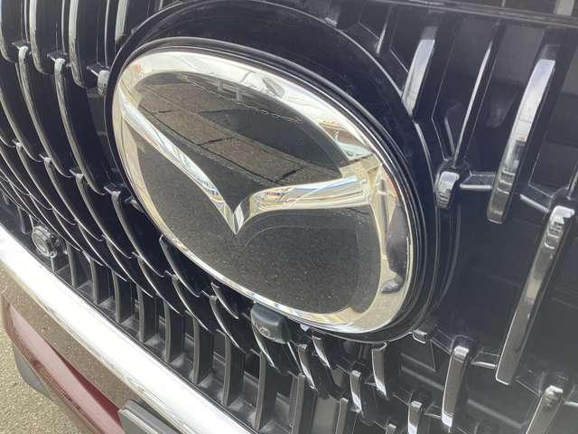 ���[�_�[�̓}�c�_�}�[�N�̒��ɓ���