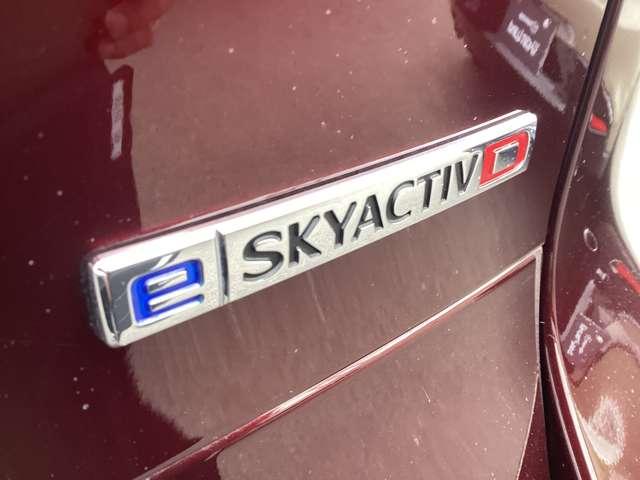 �C�����C���U����U�C���G���W���B�}�c�_�̃N���[�f�B�[�[���̊���������