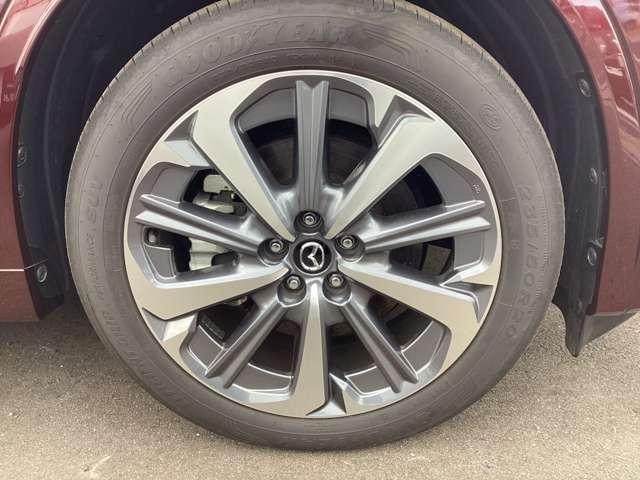 �����A���~�z�C�[���������ԗ��ł��B�A���~�z�C�[�����Ƒ������������܂��ăX�|�[�e�B�Ɍ����܂��I�I