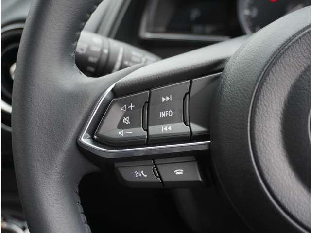 ＣＸ－３ １５Ｓ　ツーリング　衝突軽減ブレーキ　３６０°ビューモニター　オートエアコン　クリアランスソナー　ＵＳＢ　スマートキー　ＬＥＤヘッドライト　アイドリングストップ（34枚目）