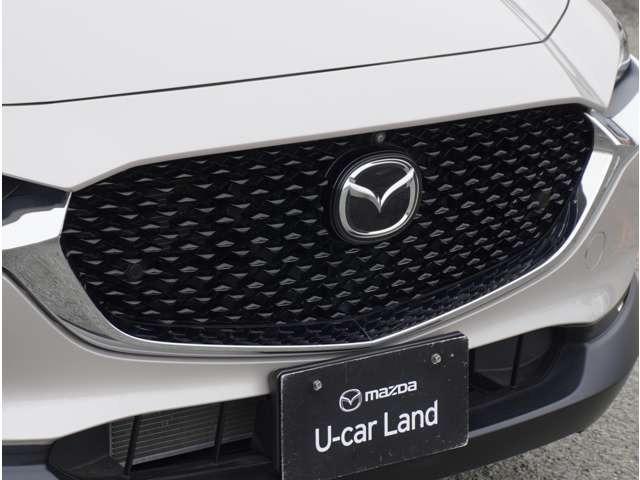 ＣＸ－３０ ２０Ｓ　Ｌパッケージ　ヒーター　電動パワーシート　クルーズコントロール　衝突被害軽減ブレーキ　黒革シート　パーキングセンサー　横滑り防止装置　レーンキープ　ＬＥＤヘッドライト　イモビライザー　ＵＳＢ　アドバンストキー（9枚目）