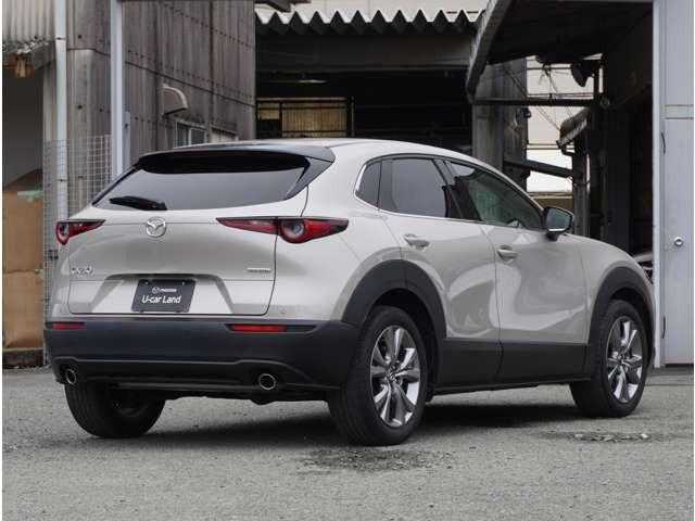 ＣＸ－３０ ２０Ｓ　Ｌパッケージ　ヒーター　電動パワーシート　クルーズコントロール　衝突被害軽減ブレーキ　黒革シート　パーキングセンサー　横滑り防止装置　レーンキープ　ＬＥＤヘッドライト　イモビライザー　ＵＳＢ　アドバンストキー（15枚目）