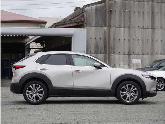 ＣＸ－３０ ２０Ｓ　Ｌパッケージ　ヒーター　電動パワーシート　クルーズコントロール　衝突被害軽減ブレーキ　黒革シート　パーキングセンサー　横滑り防止装置　レーンキープ　ＬＥＤヘッドライト　イモビライザー　ＵＳＢ　アドバンストキー（16枚目）