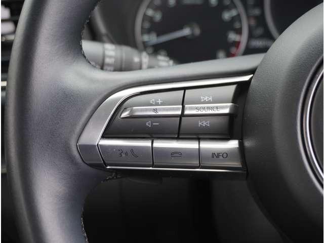ＣＸ－３０ ２０Ｓ　Ｌパッケージ　ヒーター　電動パワーシート　クルーズコントロール　衝突被害軽減ブレーキ　黒革シート　パーキングセンサー　横滑り防止装置　レーンキープ　ＬＥＤヘッドライト　イモビライザー　ＵＳＢ　アドバンストキー（38枚目）