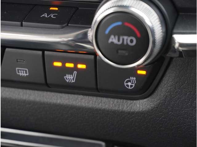 ＣＸ－３０ ２０Ｓ　Ｌパッケージ　ヒーター　電動パワーシート　クルーズコントロール　衝突被害軽減ブレーキ　黒革シート　パーキングセンサー　横滑り防止装置　レーンキープ　ＬＥＤヘッドライト　イモビライザー　ＵＳＢ　アドバンストキー（54枚目）
