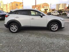 ����ޤ�������ޤǡ��ͤ��ܤ˱Ǥꤳ���Ρ�����ͤ�̥λ���������������������ۤ��ǥޥĥ��ǥ������¤��Ф���Ƥ��ޤ��� 7