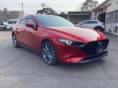 �ͣ��ڣģ����ե����ȥХå� �������������ӡ��ץ������ƥ��֡��ġ���󥰡����쥯����� 0802775A20260208Z001 7