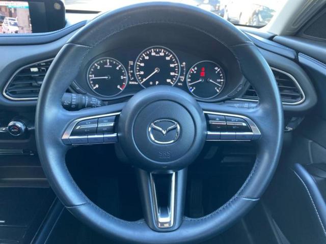 ＣＸ－３０ ＸＤプロアクティブ　新品タイヤ／保証書／純正　ＳＤナビ／アイアクティブセンス（マツダ）／３６０°ビューモニター／車線逸脱防止支援システム／パーキングアシスト　バックガイド／電動バックドア　衝突被害軽減システム　ＤＶＤ再生（15枚目）