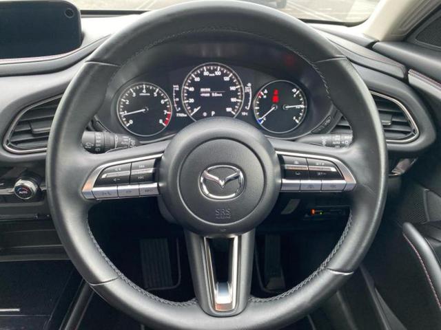 ＣＸ－３０ ２０Ｓブラックトーンエディション　保証書／純正　ＳＤナビ／衝突安全装置／３６０°ビューモニター／車線逸脱防止支援システム／電動バックドア／ドライブレコーダー　純正／ヘッドランプ　ＬＥＤ／ＵＳＢジャック／Ｂｌｕｅｔｏｏｔｈ接続　ドラレコ（15枚目）
