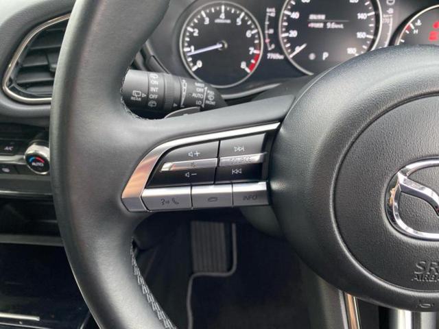 ＣＸ－３０ ２０Ｓブラックトーンエディション　保証書／純正　ＳＤナビ／衝突安全装置／３６０°ビューモニター／車線逸脱防止支援システム／電動バックドア／ドライブレコーダー　純正／ヘッドランプ　ＬＥＤ／ＵＳＢジャック／Ｂｌｕｅｔｏｏｔｈ接続　ドラレコ（30枚目）