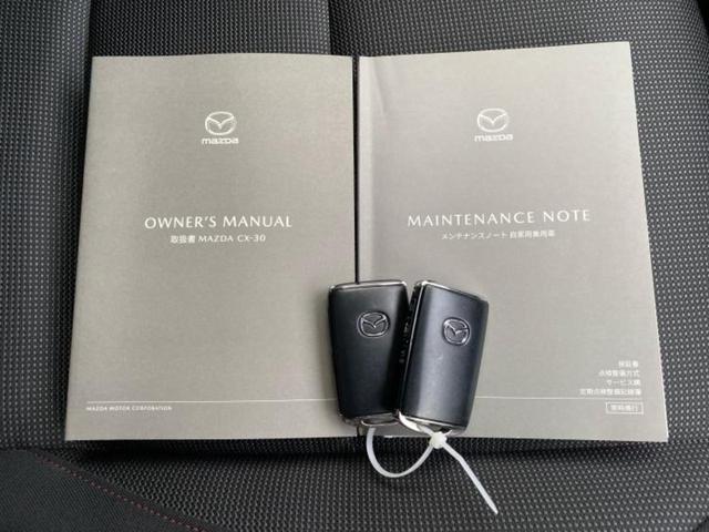 ＣＸ－３０ ２０Ｓブラックトーンエディション　保証書／純正　ＳＤナビ／衝突安全装置／３６０°ビューモニター／車線逸脱防止支援システム／電動バックドア／ドライブレコーダー　純正／ヘッドランプ　ＬＥＤ／ＵＳＢジャック／Ｂｌｕｅｔｏｏｔｈ接続　ドラレコ（35枚目）