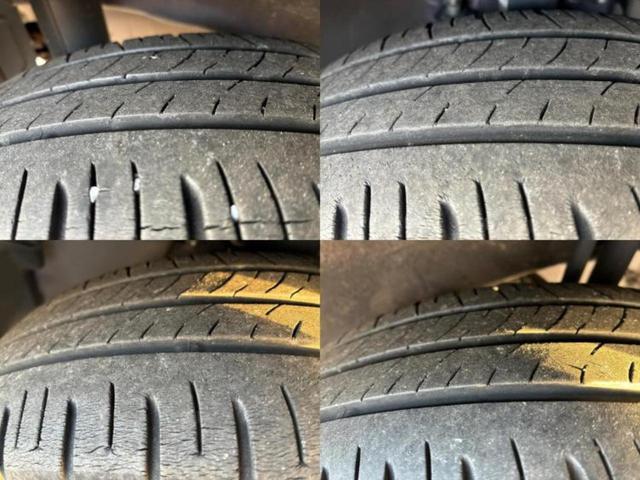 �u���̎Ԃ̎ʐ^�������ƌ������v�u��Ԃ��C�ɂȂ�v�u���̑����͂��Ă���H�v�ǂ�ȏ����ȋ^��ł����C�y�ɂ��₢���킹���������I