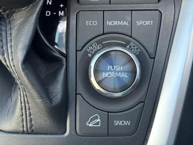 ＲＡＶ４ ４ＷＤアドベンチャーオフロードパッケージ　保証書／社外　１０インチ　ＳＤナビ／デジタルインナーミラー／トヨタセーフティセンス／シートヒーター　前席／車線逸脱防止支援システム／シート　合皮／電動バックドア／ドライブレコーダー　前後　バックカメラ（28枚目）