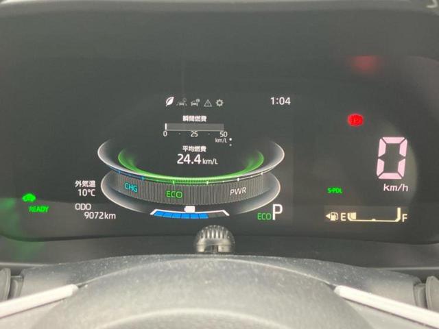 �v�d�b�`�q�r�̓W����ł͎��ۂɌ��āA�G���Ă��Ԃ����I�т��������܂��I�m���̖L�x�ȉc�ƃX�^�b�t���l�X�ȃJ�[���C�t������Ă������܂��I