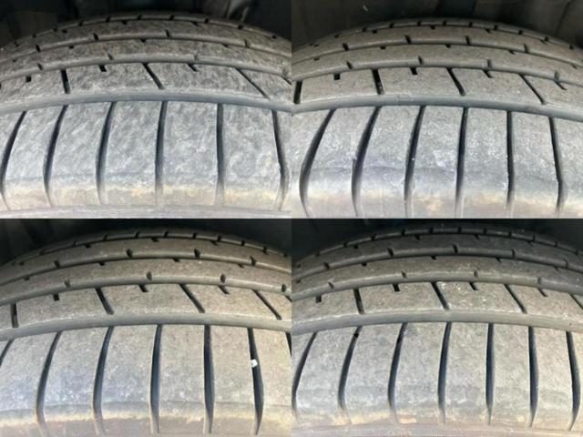 �u���̎Ԃ̎ʐ^�������ƌ������v�u��Ԃ��C�ɂȂ�v�u���̑����͂��Ă���H�v�ǂ�ȏ����ȋ^��ł����C�y�ɂ��₢���킹���������I