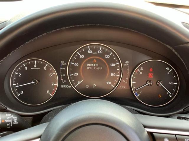 �v�d�b�`�q�r�̓W����ł͎��ۂɌ��āA�G���Ă��Ԃ����I�т��������܂��I�m���̖L�x�ȉc�ƃX�^�b�t���l�X�ȃJ�[���C�t������Ă������܂��I