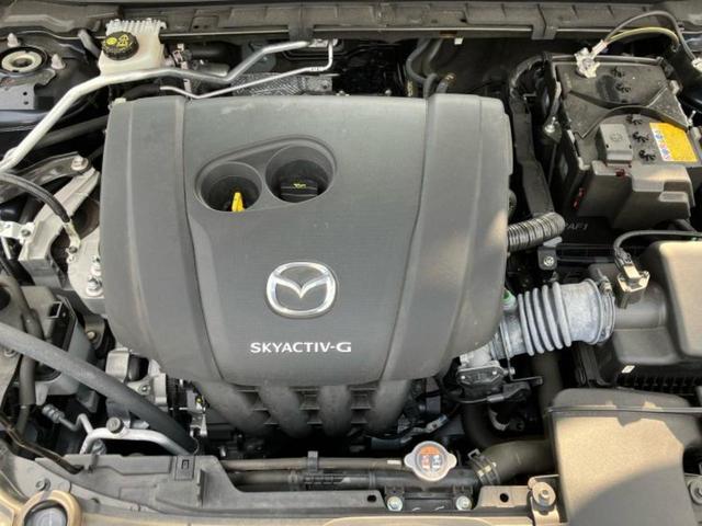 �S���ɓX�܂�W�J���Ă���̂łǂ��ł������񂹂��\�ł��I���̎Ԃ��C�ɂȂ邯�ǉ���������E�E�E�ƒ��߂�K�v�͂���܂���I���ʓr������K�v�ł��B