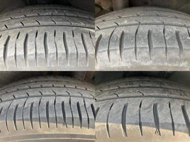 �u���̎Ԃ̎ʐ^�������ƌ������v�u��Ԃ��C�ɂȂ�v�u���̑����͂��Ă���H�v�ǂ�ȏ����ȋ^��ł����C�y�ɂ��₢���킹���������I