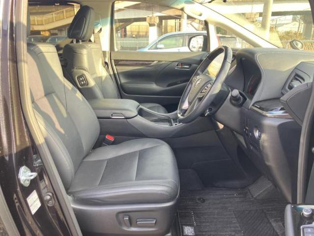 �u���̎Ԃ̎ʐ^�������ƌ������v�u��Ԃ��C�ɂȂ�v�u���̑����͂��Ă���H�v�ǂ�ȏ����ȋ^��ł����C�y�ɂ��₢���킹���������I