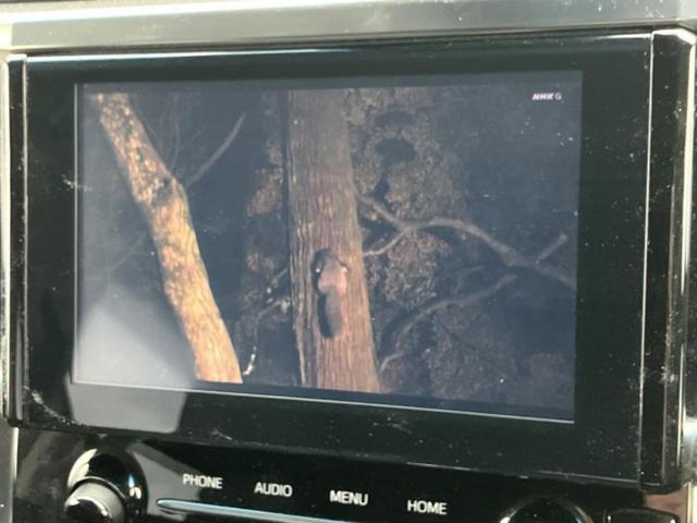 �i�r�A�h�����R�A�d�s�b�A�t���b�v�_�E�����j�^�[�A�f�W�^���C���i�[�~���[�������c��t���\�ł��I�I�v�V�������L�x�Ɏ�葵���Ă���܂��̂ł����S���������I