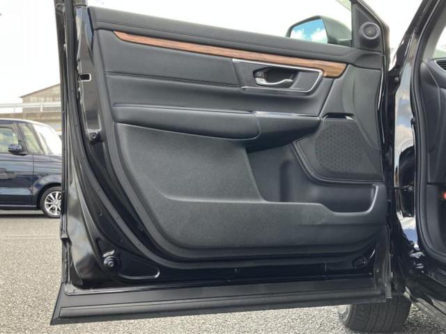 �u���̎Ԃ̎ʐ^�������ƌ������v�u��Ԃ��C�ɂȂ�v�u���̑����͂��Ă���H�v�ǂ�ȏ����ȋ^��ł����C�y�ɂ��₢���킹���������I