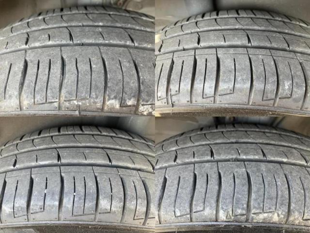 �u���̎Ԃ̎ʐ^�������ƌ������v�u��Ԃ��C�ɂȂ�v�u���̑����͂��Ă���H�v�ǂ�ȏ����ȋ^��ł����C�y�ɂ��₢���킹���������I