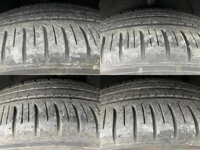 �u���̎Ԃ̎ʐ^�������ƌ������v�u��Ԃ��C�ɂȂ�v�u���̑����͂��Ă���H�v�ǂ�ȏ����ȋ^��ł����C�y�ɂ��₢���킹���������I