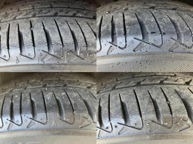 �u���̎Ԃ̎ʐ^�������ƌ������v�u��Ԃ��C�ɂȂ�v�u���̑����͂��Ă���H�v�ǂ�ȏ����ȋ^��ł����C�y�ɂ��₢���킹���������I