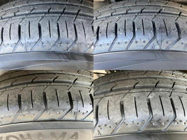 �u���̎Ԃ̎ʐ^�������ƌ������v�u��Ԃ��C�ɂȂ�v�u���̑����͂��Ă���H�v�ǂ�ȏ����ȋ^��ł����C�y�ɂ��₢���킹���������I