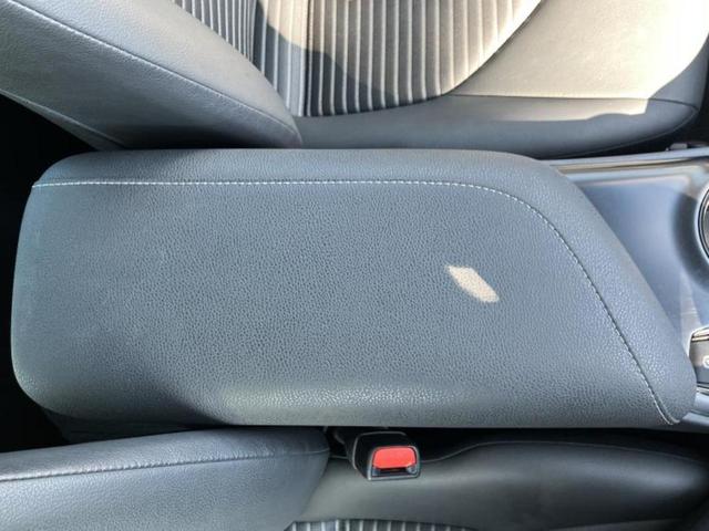 �u���̎Ԃ̎ʐ^�������ƌ������v�u��Ԃ��C�ɂȂ�v�u���̑����͂��Ă���H�v�ǂ�ȏ����ȋ^��ł����C�y�ɂ��₢���킹���������I