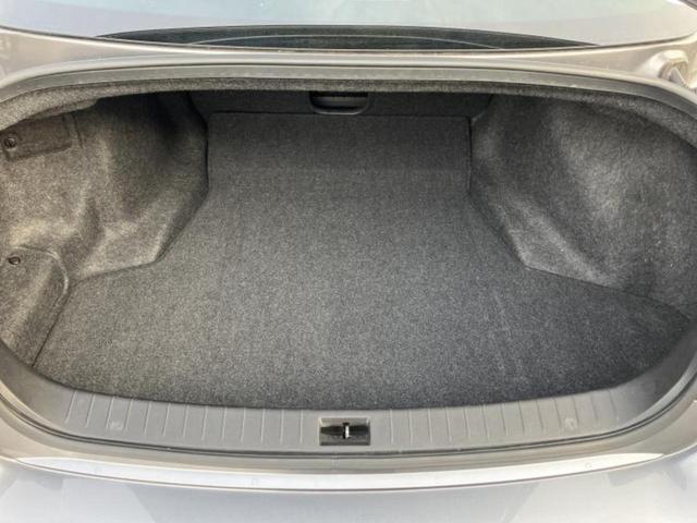 �u���̎Ԃ̎ʐ^�������ƌ������v�u��Ԃ��C�ɂȂ�v�u���̑����͂��Ă���H�v�ǂ�ȏ����ȋ^��ł����C�y�ɂ��₢���킹���������I