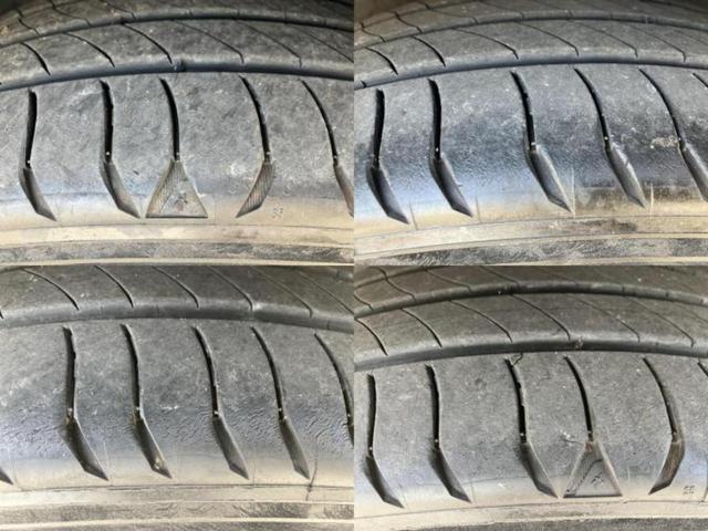 �u���̎Ԃ̎ʐ^�������ƌ������v�u��Ԃ��C�ɂȂ�v�u���̑����͂��Ă���H�v�ǂ�ȏ����ȋ^��ł����C�y�ɂ��₢���킹���������I