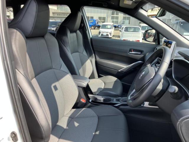 �u���̎Ԃ̎ʐ^�������ƌ������v�u��Ԃ��C�ɂȂ�v�u���̑����͂��Ă���H�v�ǂ�ȏ����ȋ^��ł����C�y�ɂ��₢���킹���������I