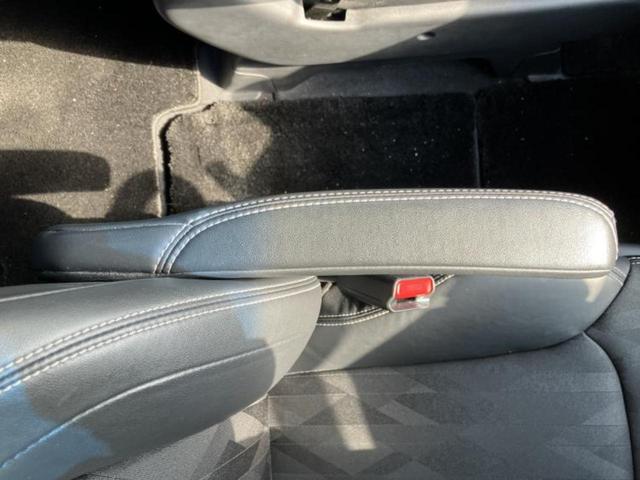 �u���̎Ԃ̎ʐ^�������ƌ������v�u��Ԃ��C�ɂȂ�v�u���̑����͂��Ă���H�v�ǂ�ȏ����ȋ^��ł����C�y�ɂ��₢���킹���������I