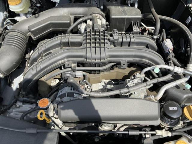 �S���ɓX�܂�W�J���Ă���̂łǂ��ł������񂹂��\�ł��I���̎Ԃ��C�ɂȂ邯�ǉ���������E�E�E�ƒ��߂�K�v�͂���܂���I���ʓr������K�v�ł��B