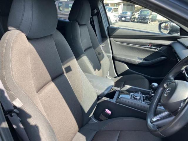 �u���̎Ԃ̎ʐ^�������ƌ������v�u��Ԃ��C�ɂȂ�v�u���̑����͂��Ă���H�v�ǂ�ȏ����ȋ^��ł����C�y�ɂ��₢���킹���������I